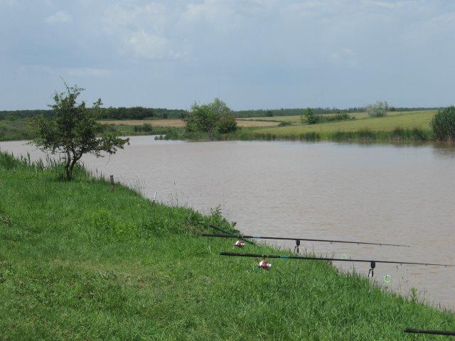 Cupa memoriala Ionel Barbu, 7-8 iunie Lacul Teiu - 18.jpg